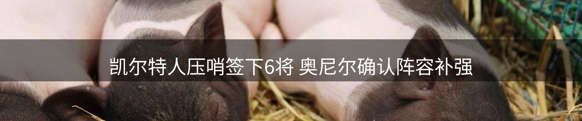 焦点观察