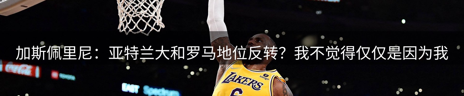 焦点观察